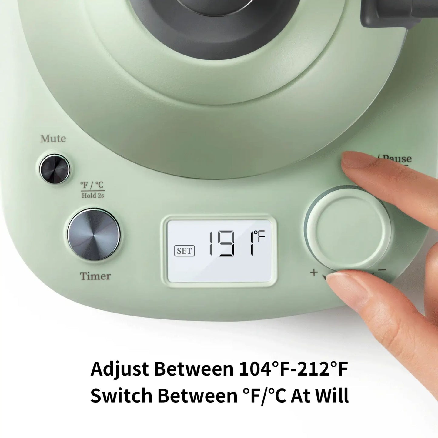 Buydeem electric kettle control panel close-up showing adjustable temperature in Fahrenheit and Celsius, digital display, and user hand setting precise heat level
