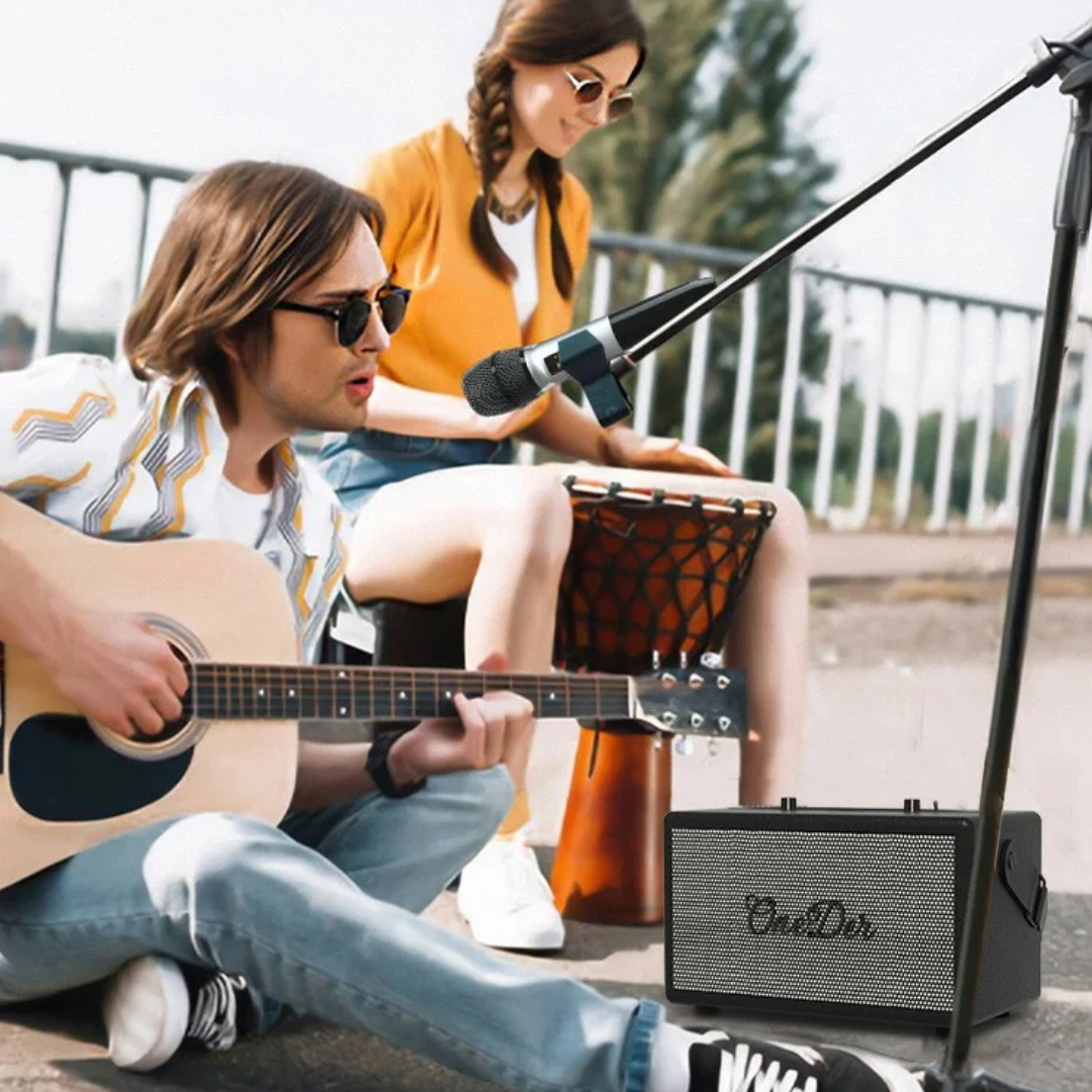 Oneder D7 Bluetooth Speaker Outdoor Karaoke Wireless Speakers With Two Mic