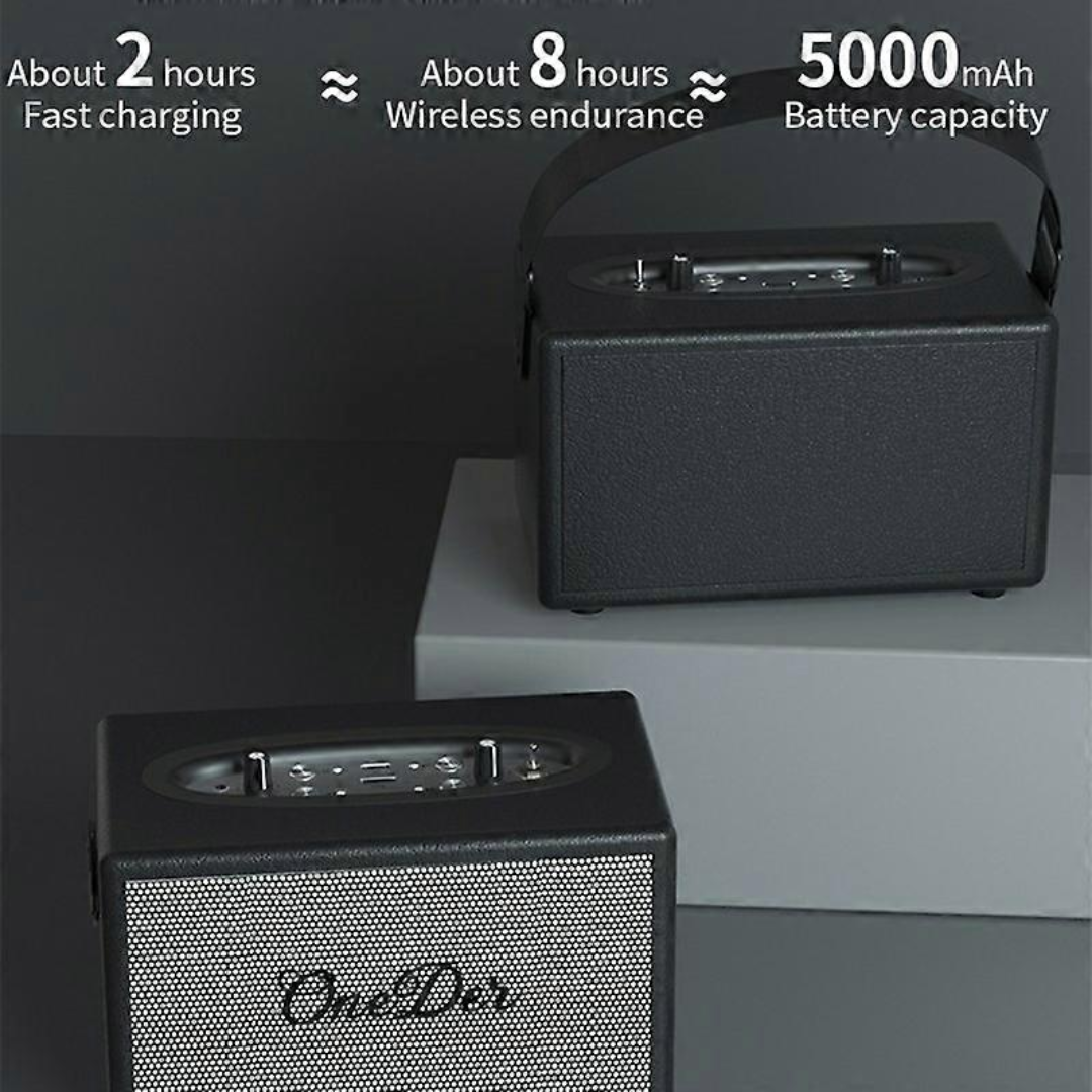 Oneder D7 Bluetooth Speaker Outdoor Karaoke Wireless Speakers With Two Mic