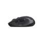 Verbatim Silent Mouse with Invisible Optic